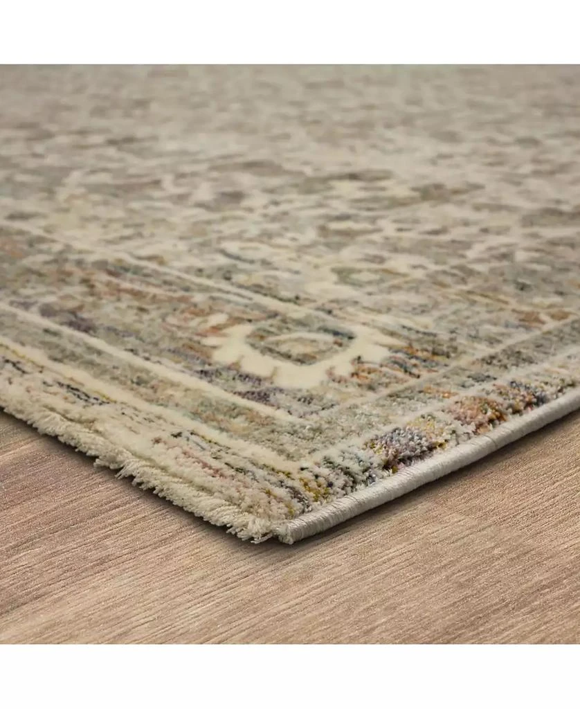 Karastan Divina Bliss 2'6" x 7'10" Runner Area Rug 2