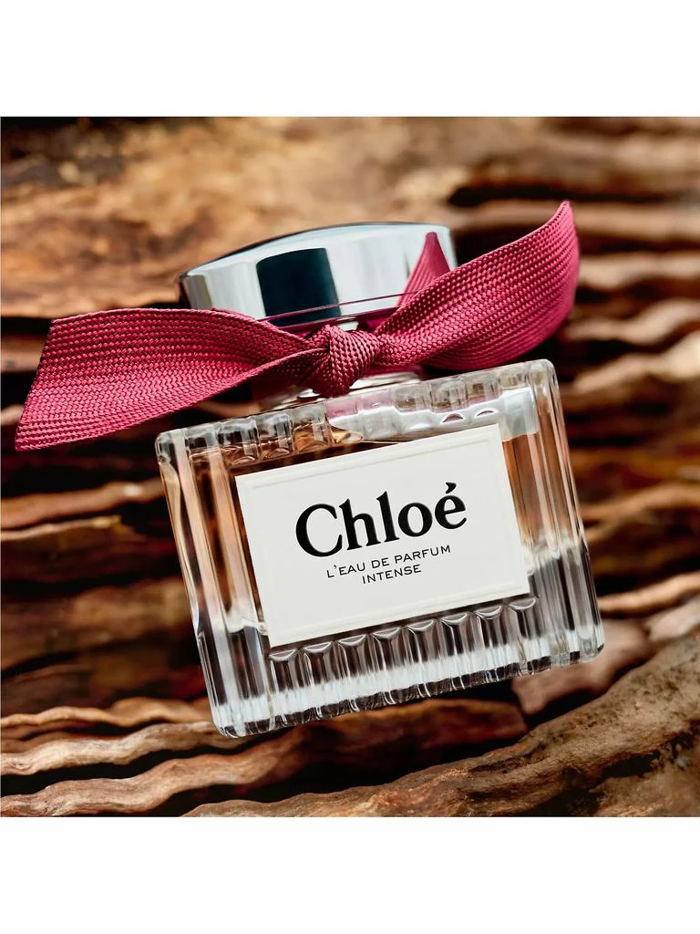 Chloé Chloé L’Eau de Parfum Intense 10