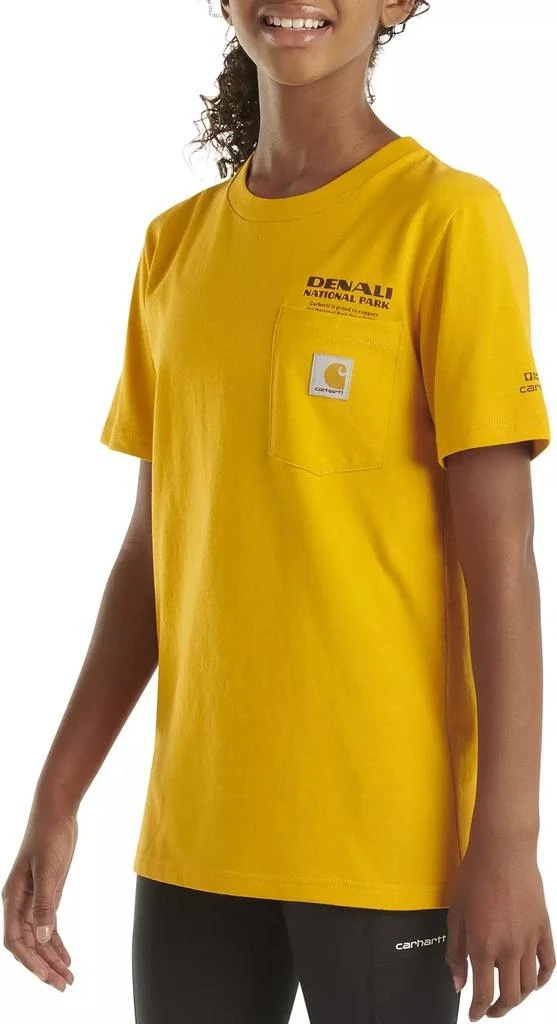 Carhartt Carhartt Boys' Denali National Park T-Shirt 5