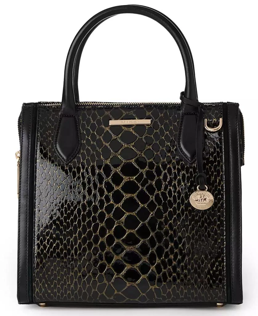 Brahmin Small Caroline Cavatica Leather Satchel 1