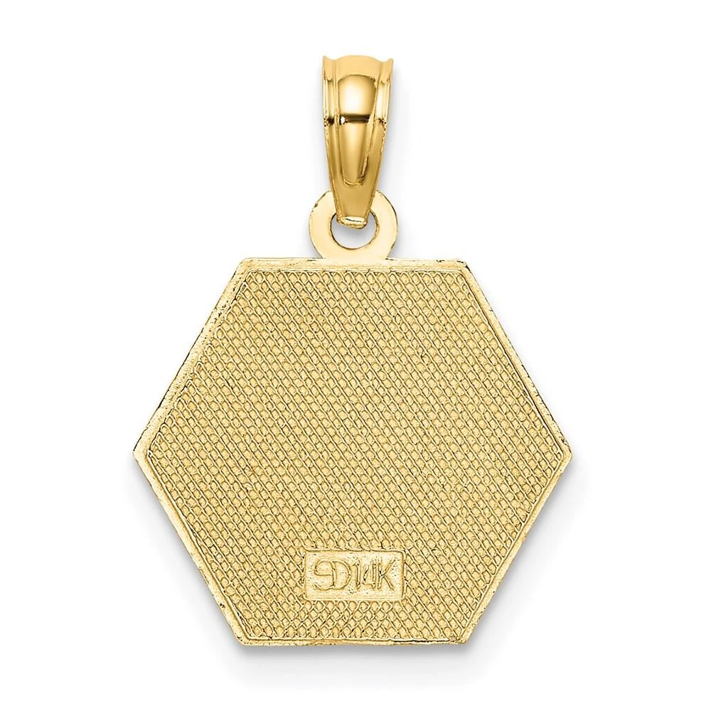 Diamond2Deal 14k Yellow Gold Caduceus Textured Back Medical Charm Pendant 4