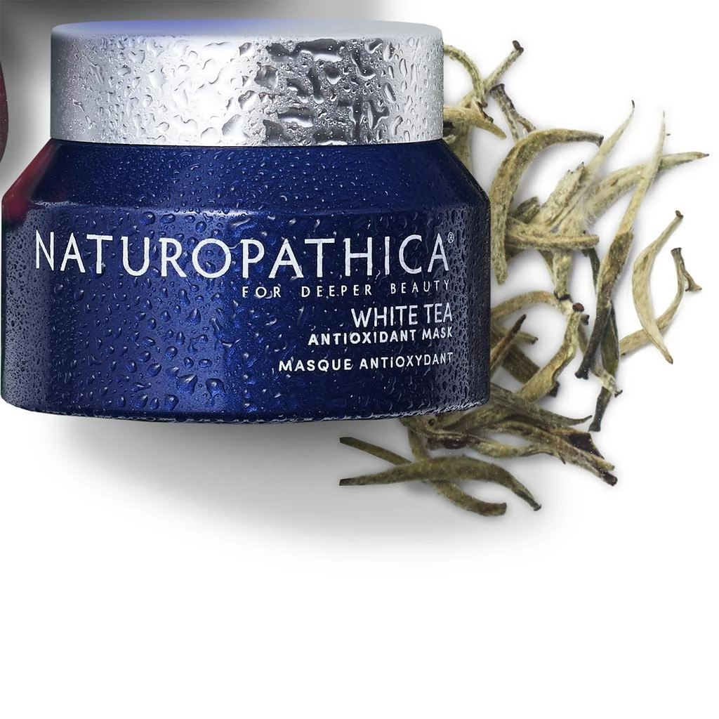 Naturopathica Naturopathica White Tea Antioxidant Mask 3