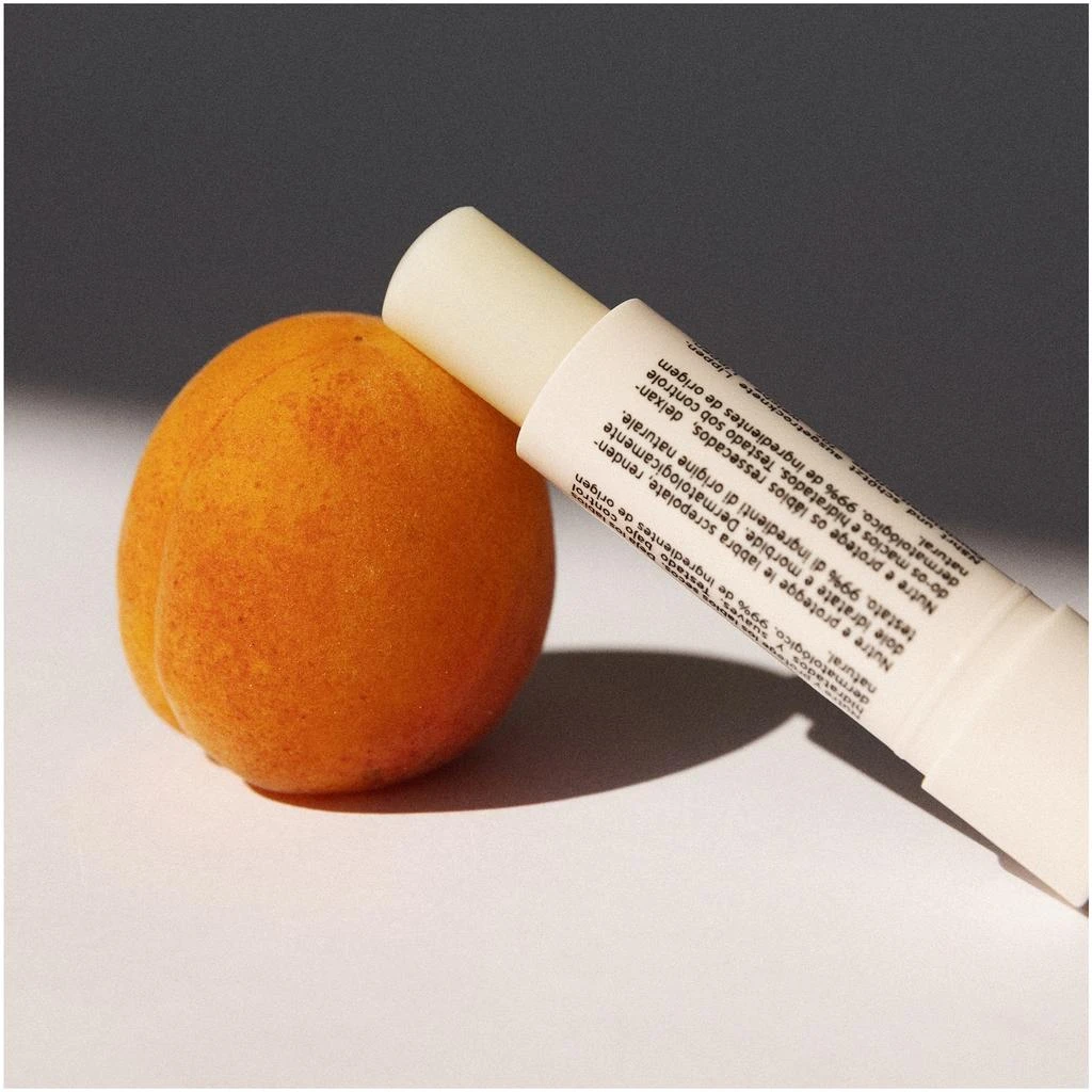 Embryolisse Embryolisse Stick Protecteur Reparateur - Lips Protection Stick 3