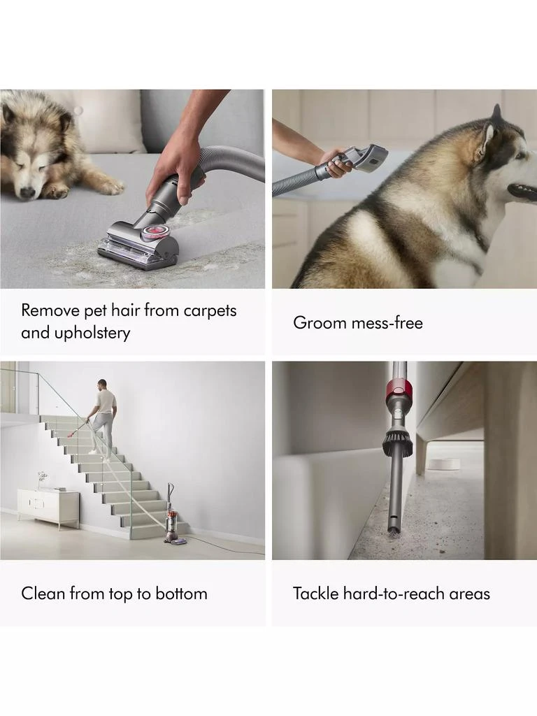 Dyson Ball Animal 3 Extra Upright Vacuum 7
