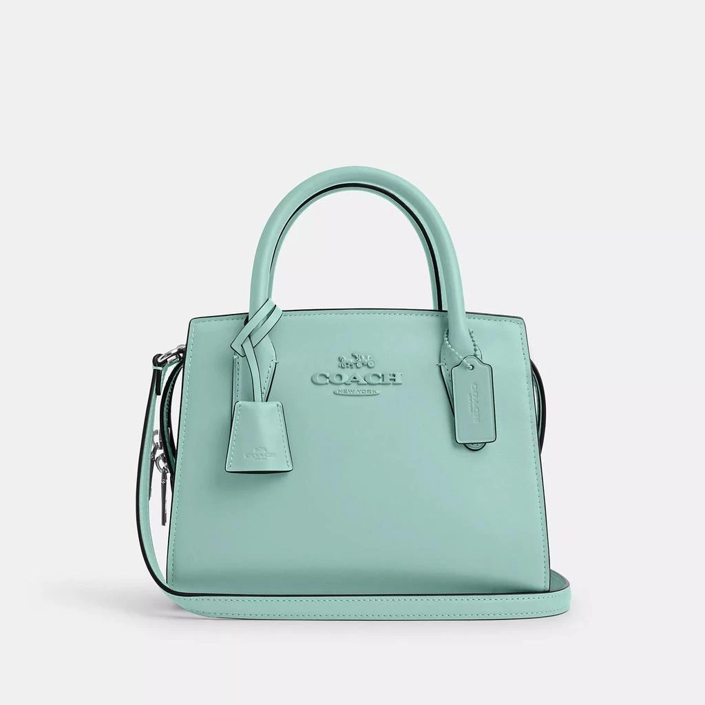 Coach Andrea Carryall 11