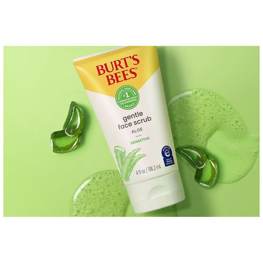 Burt's Bees Gentle Face Scrub with Aloe for Sensitive Skin 5