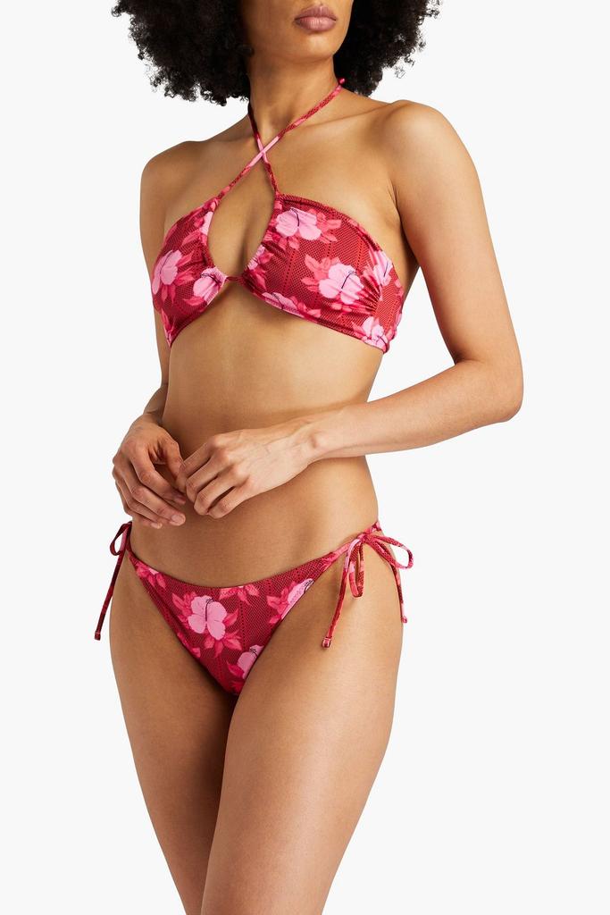 Fisch Floral-print halterneck bikini top