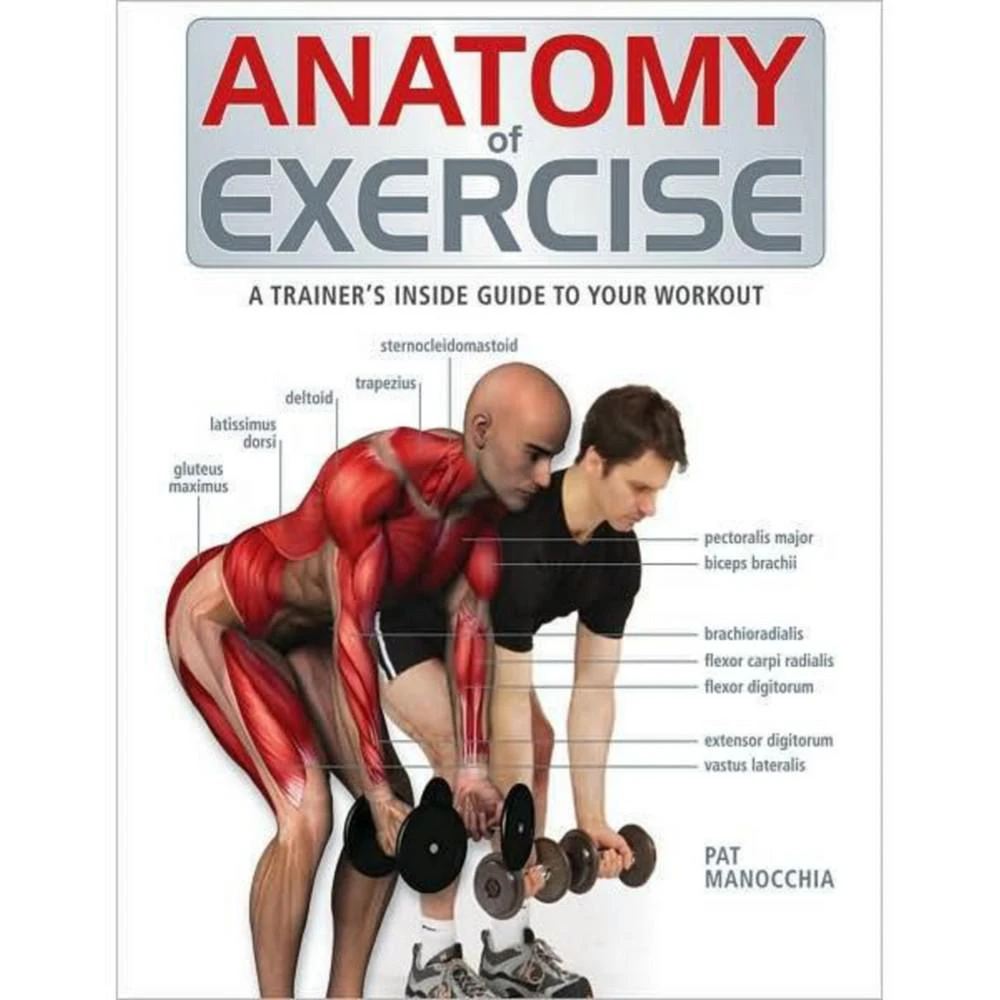 Barnes & Noble Anatomy of Exercise - A Trainer's Inside Guide to Your Workout by Pat Manocchia