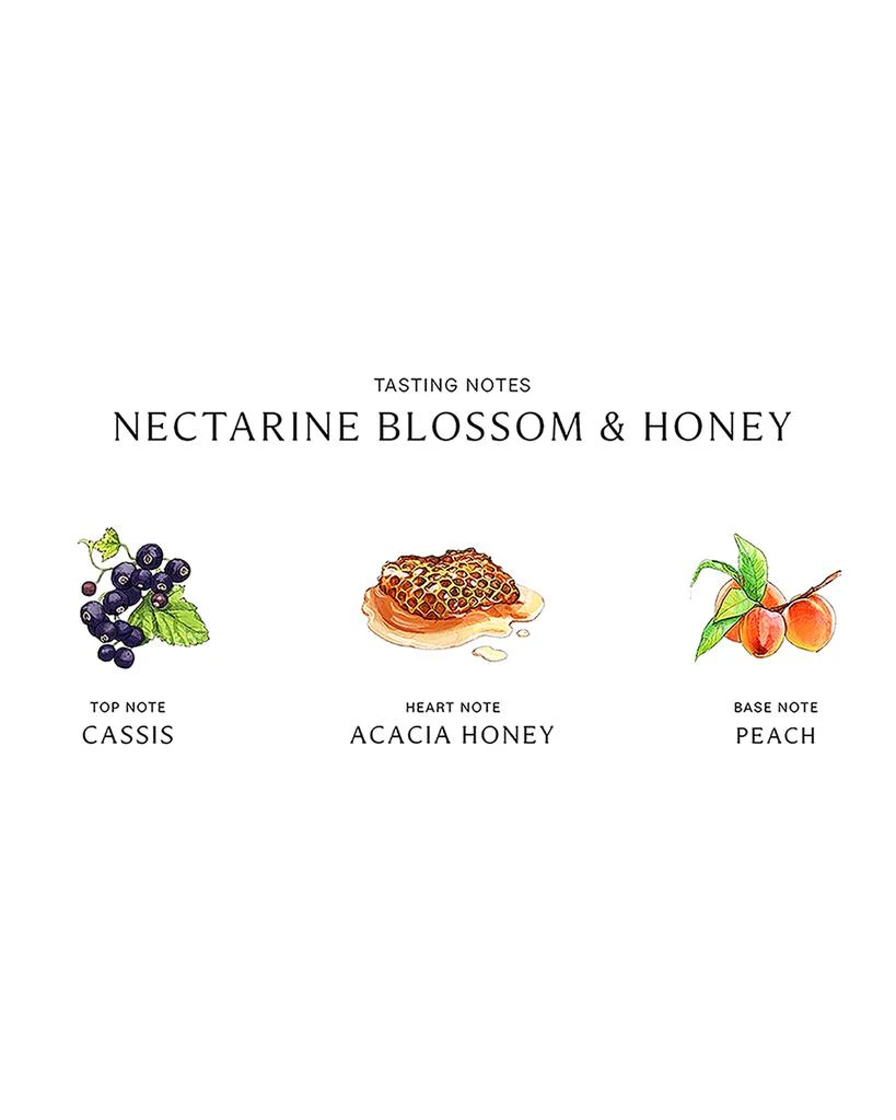 Jo Malone London 8.5 oz. Nectarine Blossom & Honey Body & Hand Wash 3