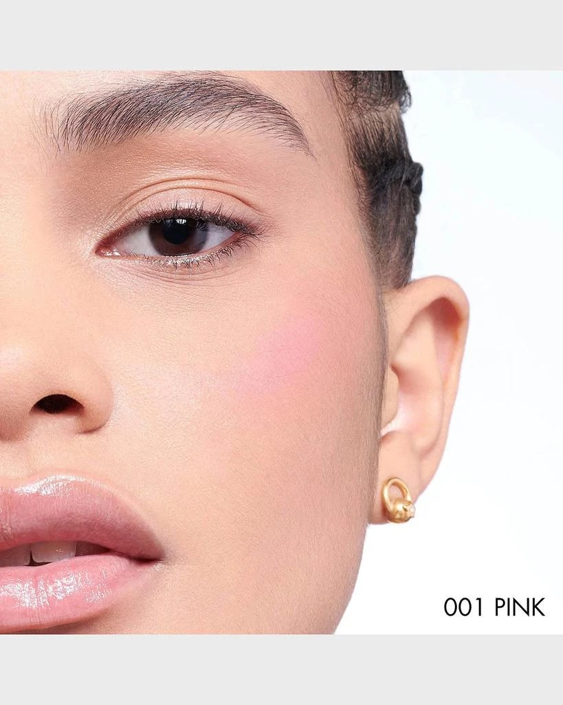 Dior Dior Backstage Rosy Glow Blush 4