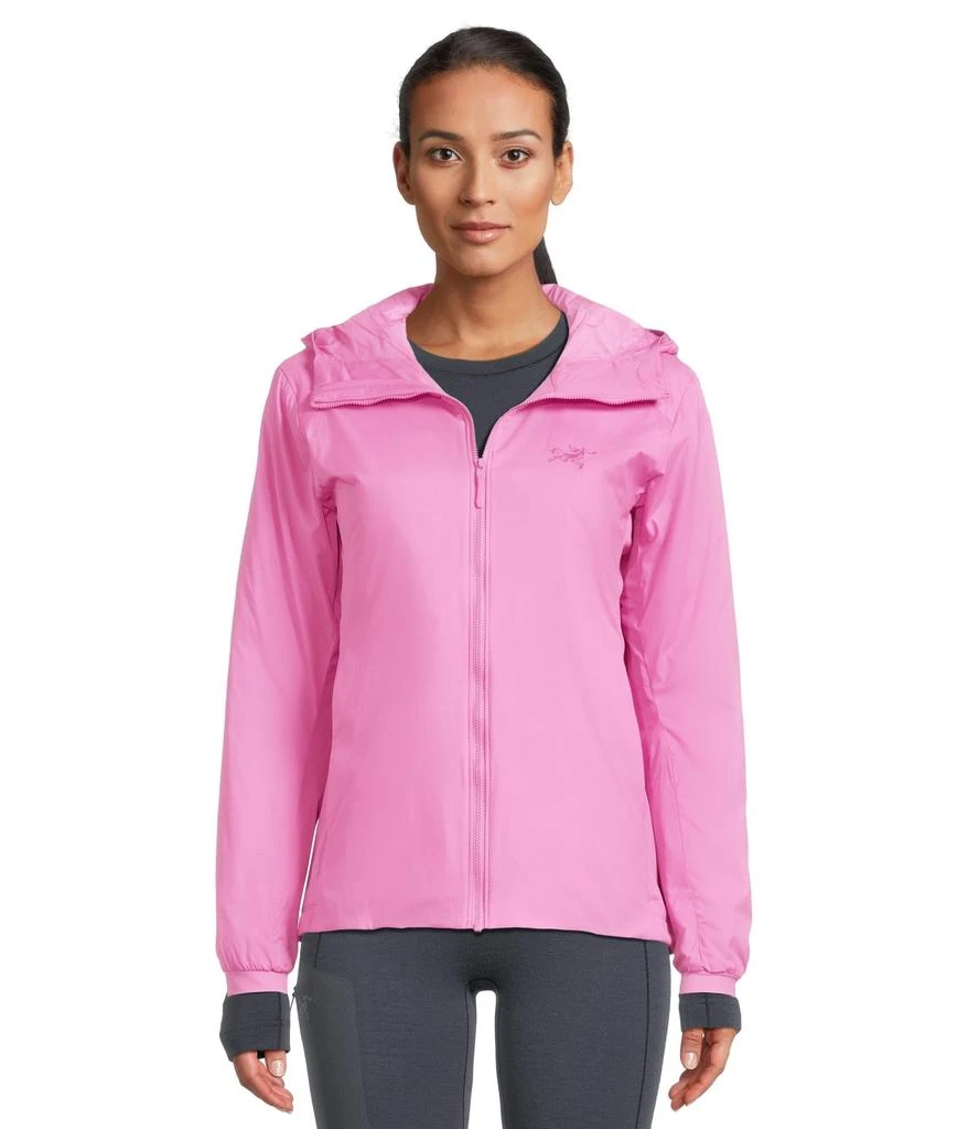 Arc'teryx Atom Hoody 1