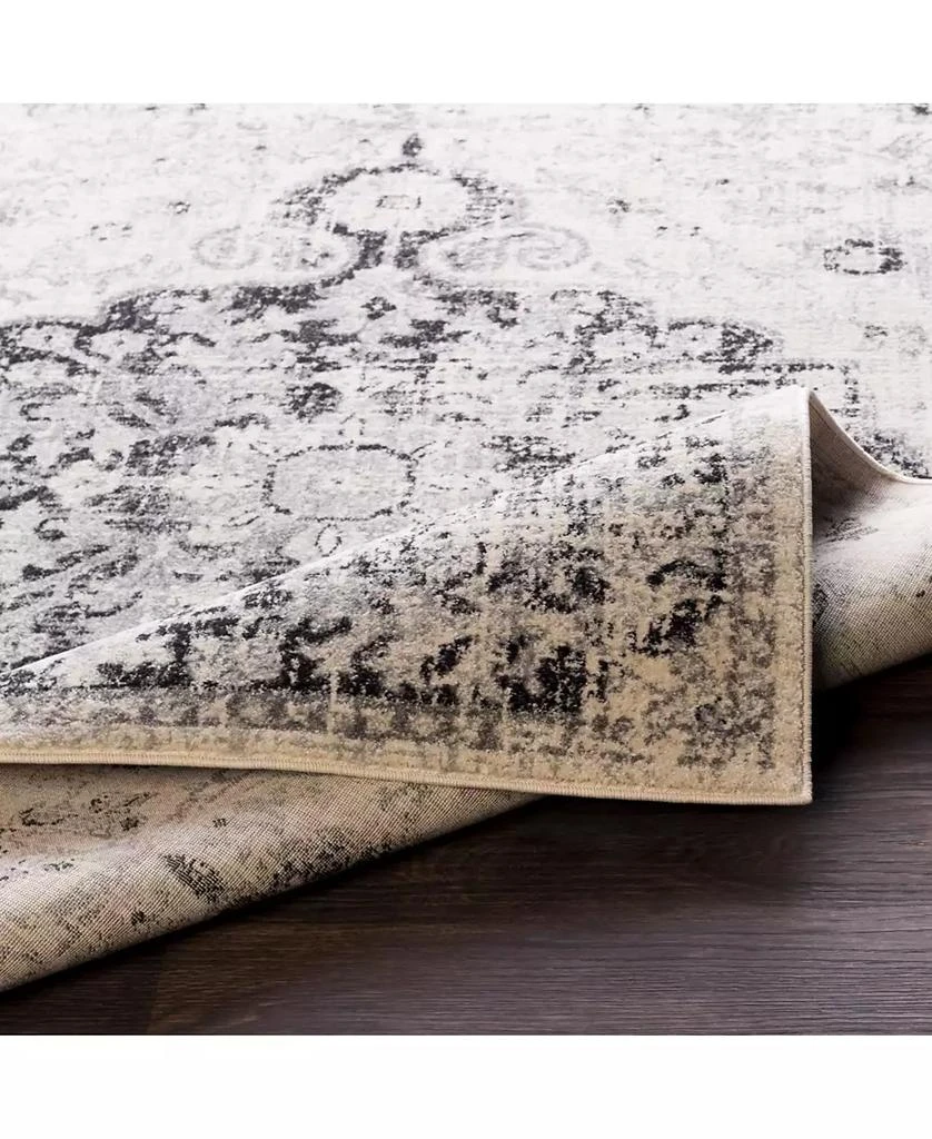 Surya Harput HAP-1061 Beige 3'11" x 5'7" Area Rug 3