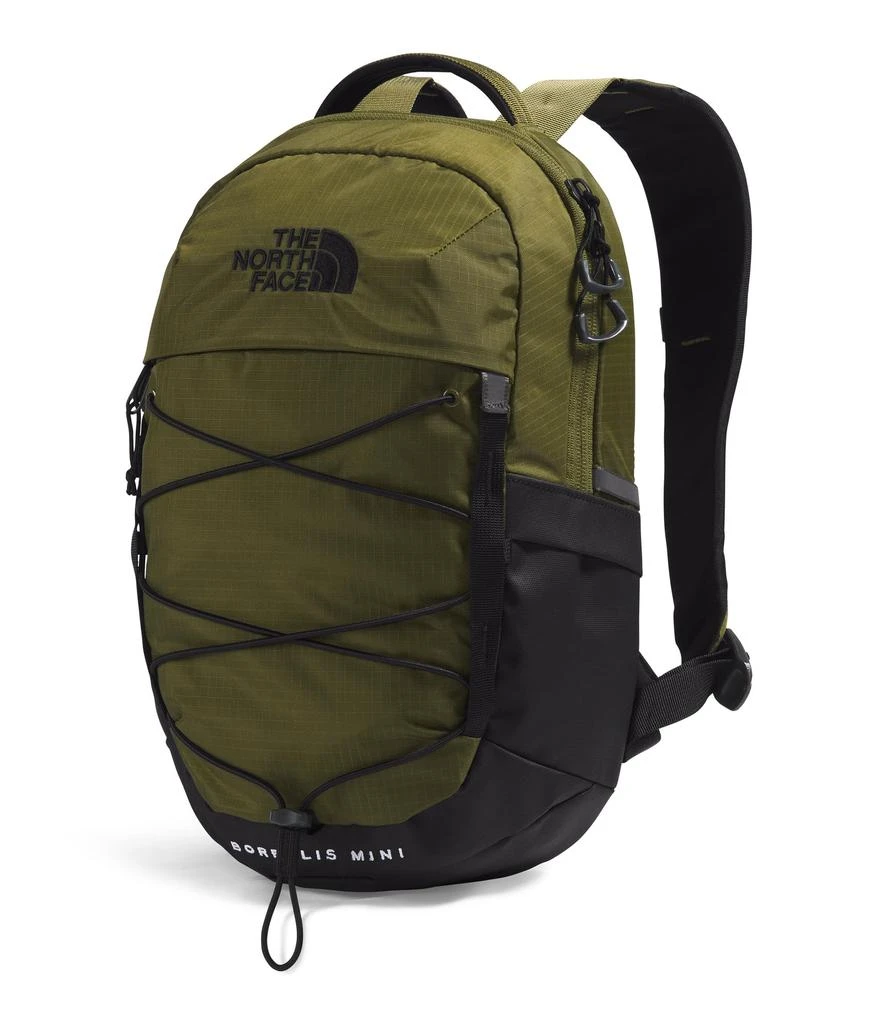 The North Face Borealis Mini Backpack 1
