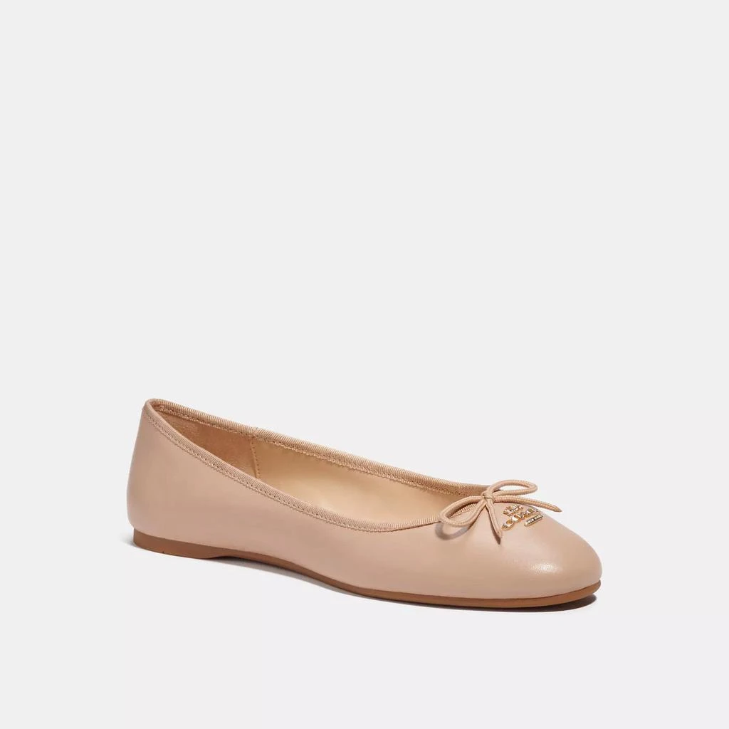 Coach Alina Ballet 2
