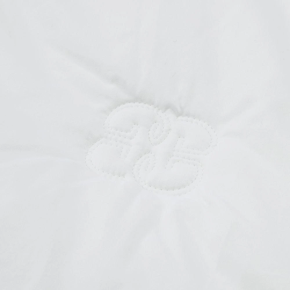 Gingerlily Half
Half Silk Filled Comforter, Queen 2