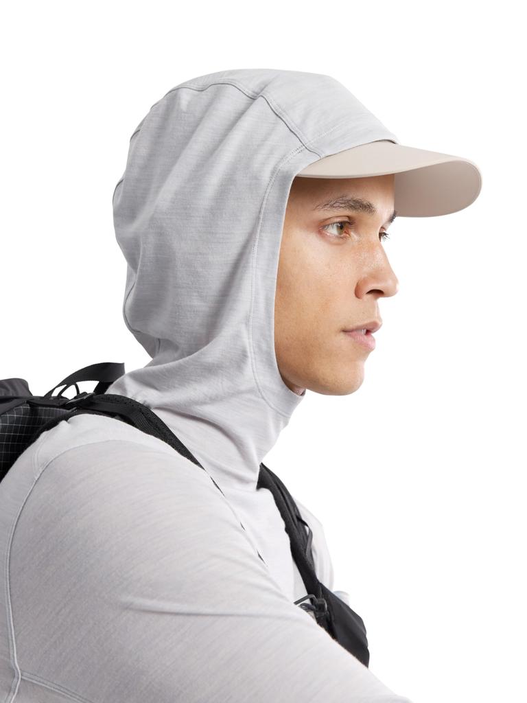 Arc'teryx Arc'teryx Ionia Merino Wool Hoody Men's | Soft Light