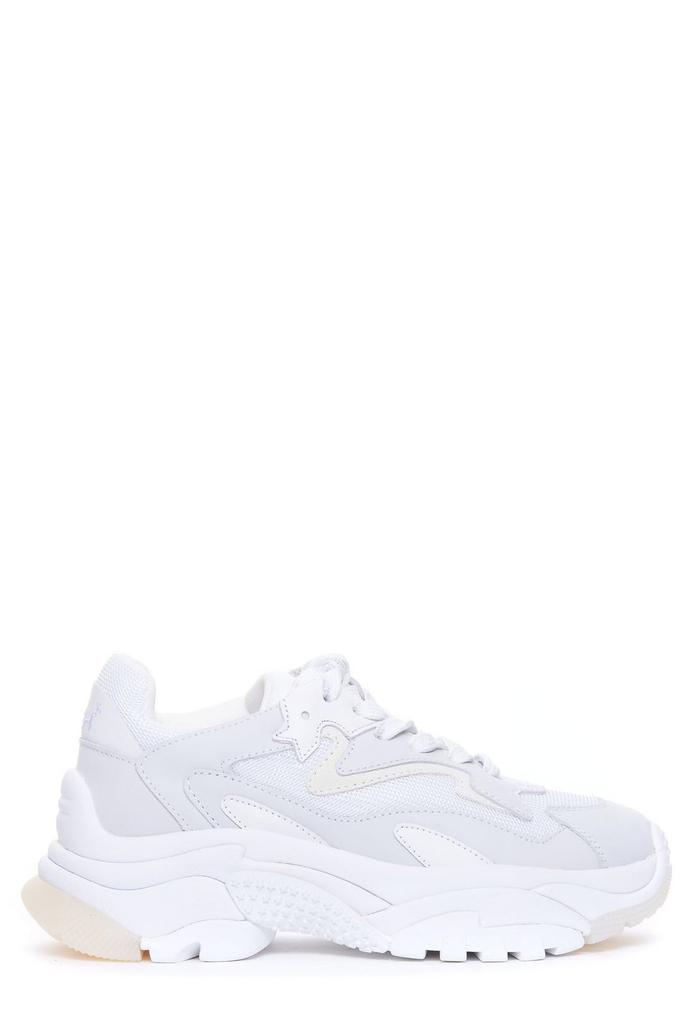 アイケア L ash addict Ash Ash Addict Lace-Up Sneakers - Casual Shoes - Save Extra