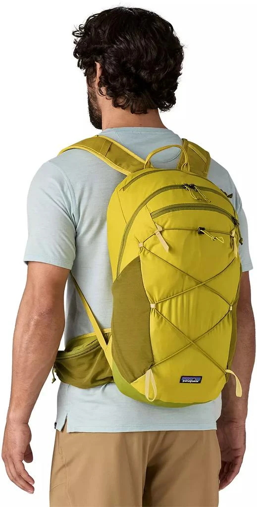 Patagonia Patagonia Terravia 22L Pack 3