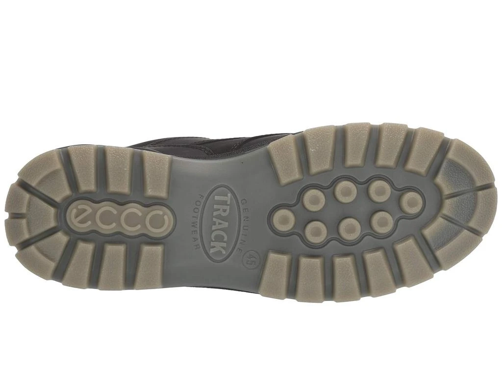 ECCO Sport Track 25 GORE-TEX® Shoe 3