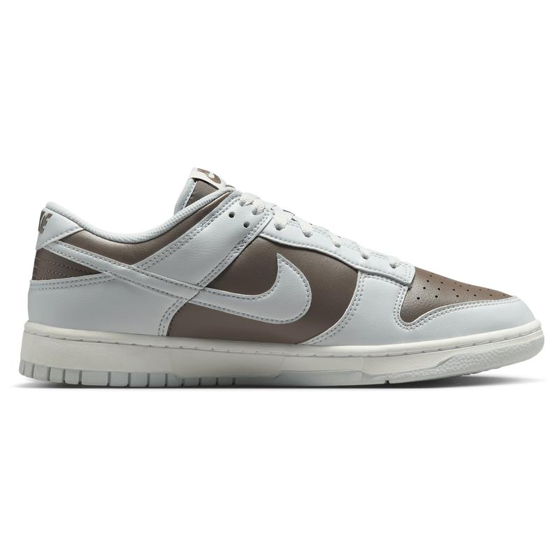 footlocker nike dunk low retro