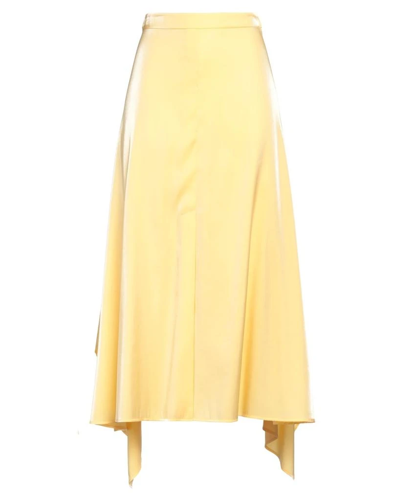 AERON Midi skirt 1