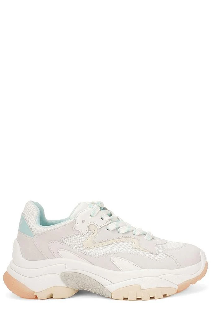 Ash Ash Addict Lace-Up Sneakers 1