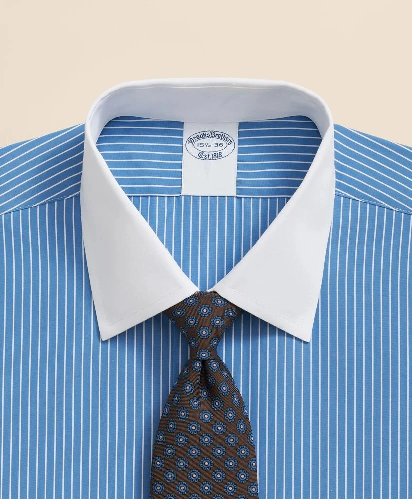 Brooks Brothers Pure Supima Cotton Regular-Finish Ainsley Collar, Ground  Stripe Dress Shirt - Shirts - Free Shipping - BeyondStyle