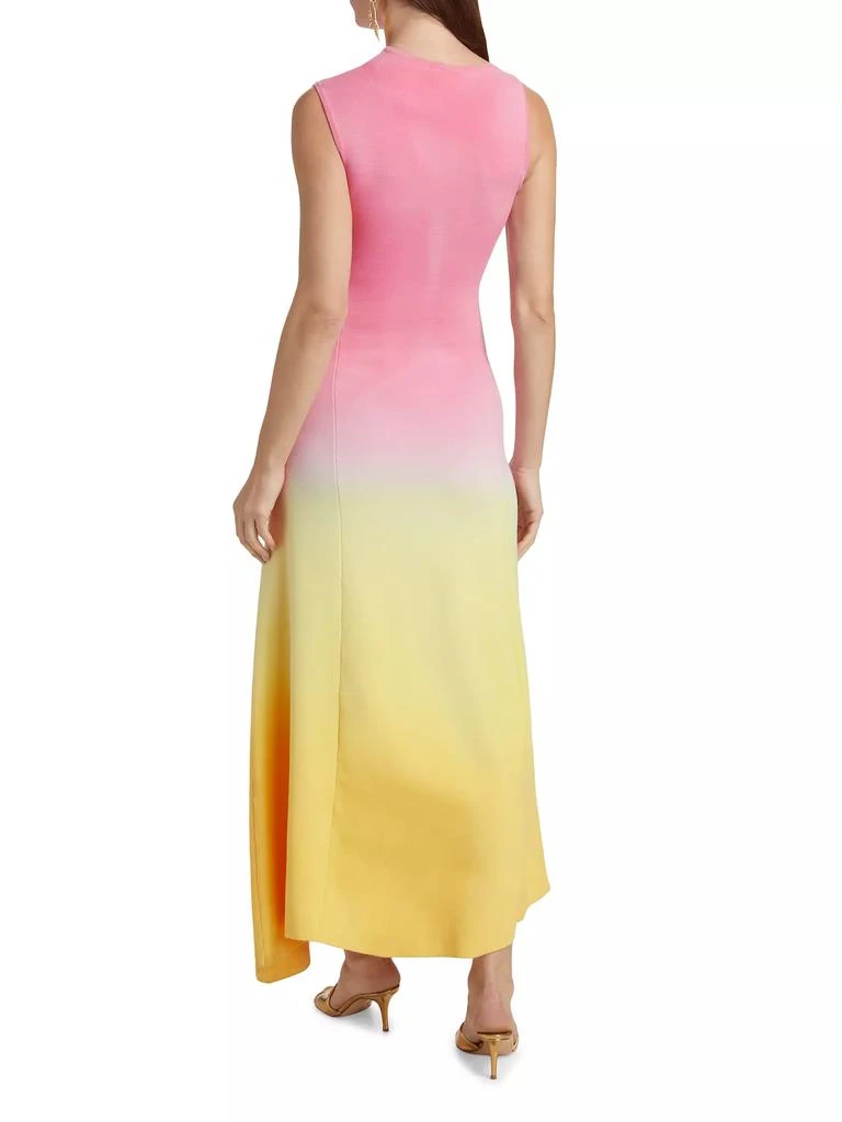 Acler Orkney Gradient Maxi Dress 5
