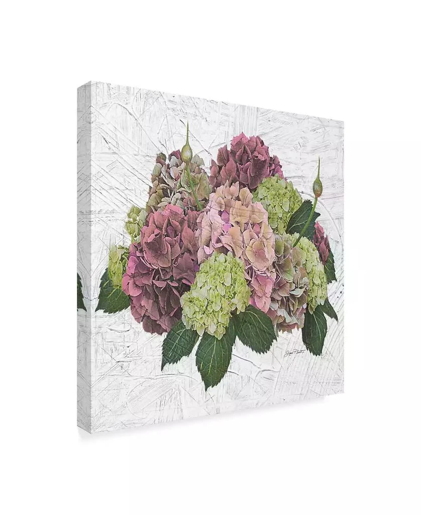 Trademark Global Jean Plout
Hydrangea Vignette Pink
Canvas Art - 14" x 14" 2