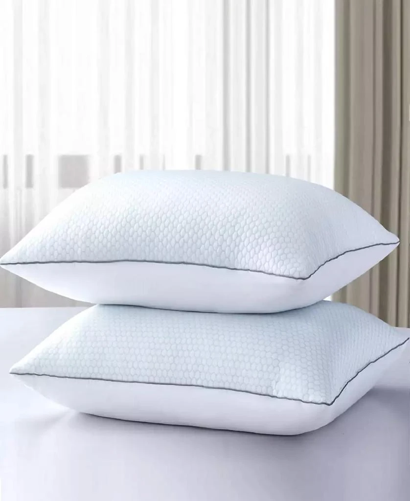 Serta Flipable Summer/Winter White Goose Feather 2-Pack Pillow 1