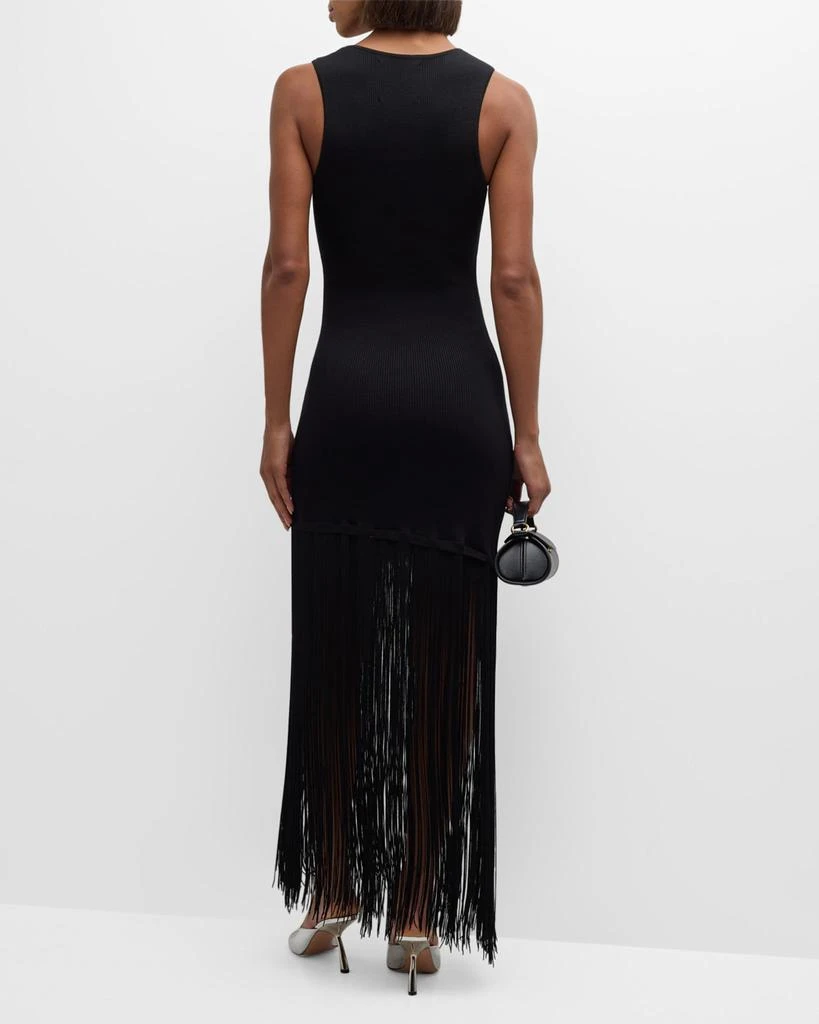 Le Superbe Sleeveless Fringe Tank Dress 4