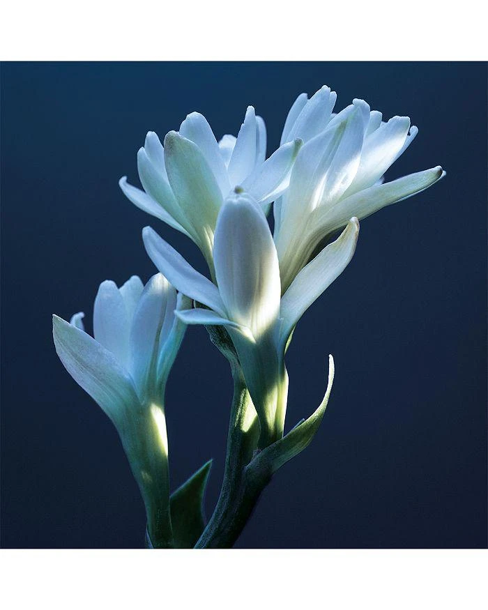 Chloé Atelier des Fleurs Tubéreuse Lazuli Eau de Parfum 8
