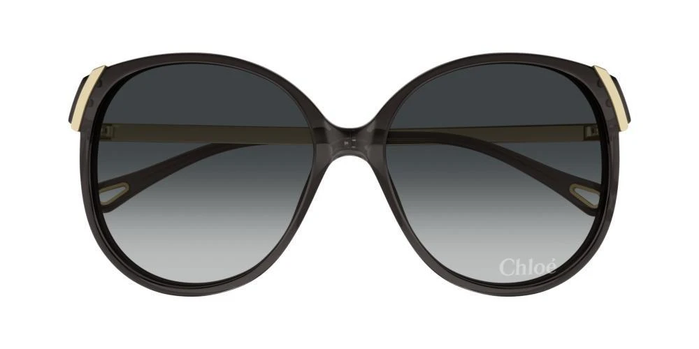 Chloé Chloé Eyewear Oval Frame Sunglasses 1