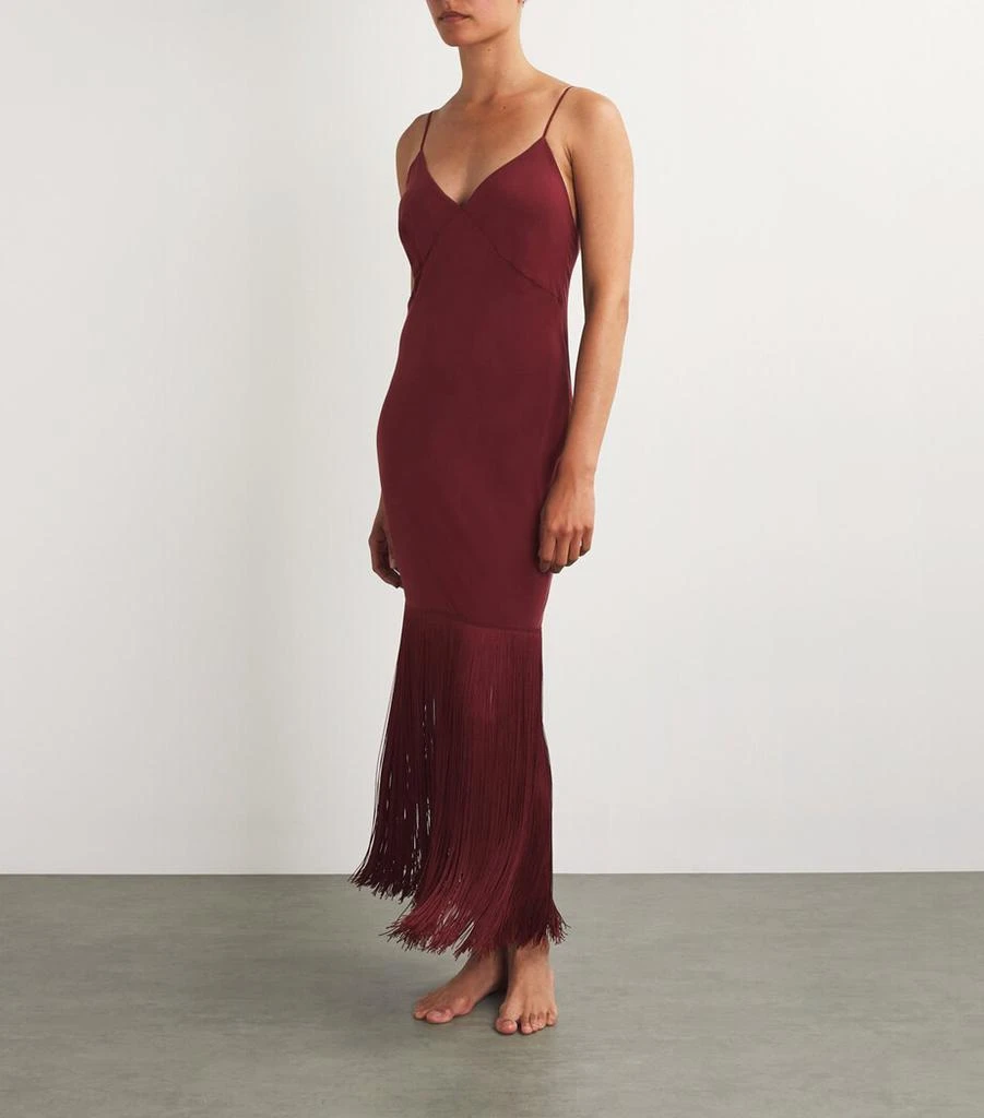 OLIVIA VON HALLE Silk Zoya Fringed Maxi Dress 2