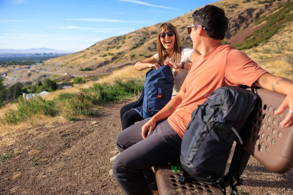 Gregory Gregory Nano 20L Plus Size Unisex Day Hiking/Commuter/Active Travel Backpack, Breathable Backpanel, Hydration Port, Plus Size, Optic Black 4