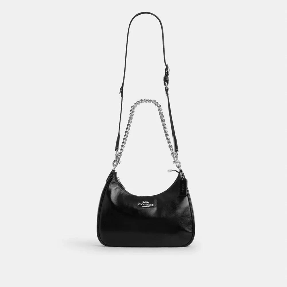 Coach Teri Hobo Bag With Pouch 10