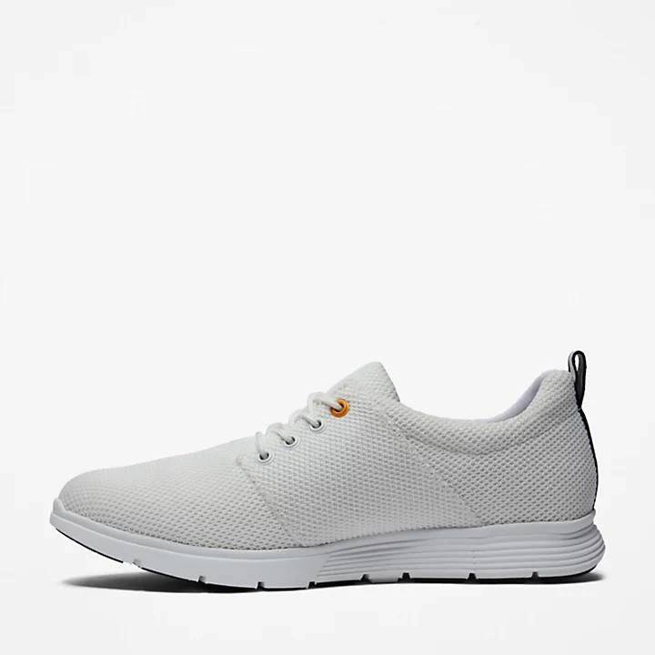 Timberland Killington Oxford Shoe for Men in White 6