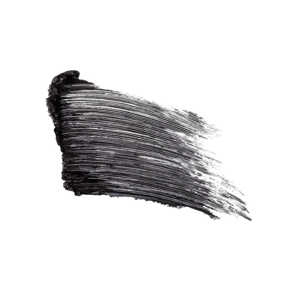 Kevyn Aucoin Indecent Mascara 2