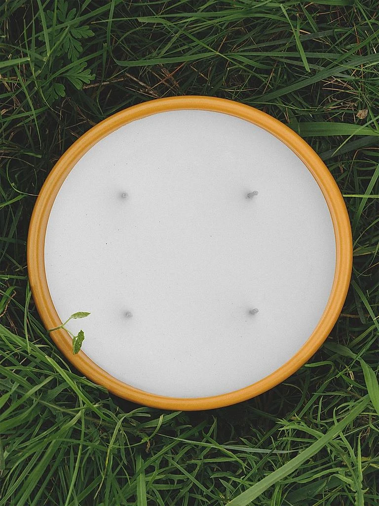 LOEWE Perfumes Ginger Outdoor Candle 5