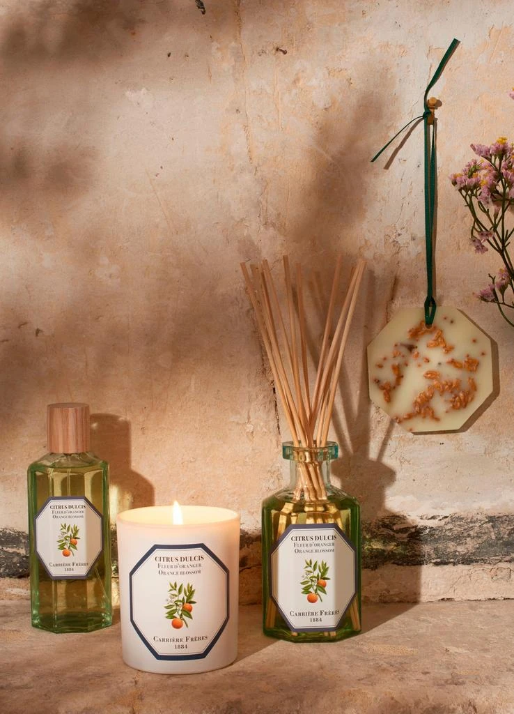 Carriere Freres Botanical palets Orange Blossom - Citrus Dulcis 0,55 g x2 4