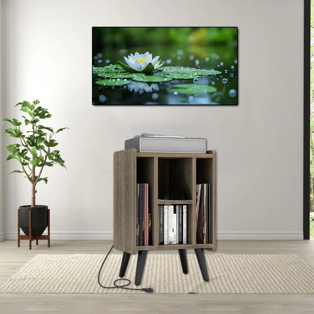 Hivvago Modern Turntable Console with 4 Open Storage Levels