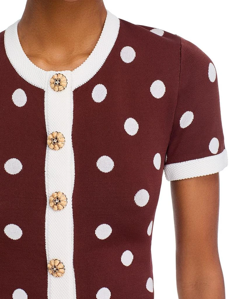 Cara Cara Sona Top Cocoa Dot 4