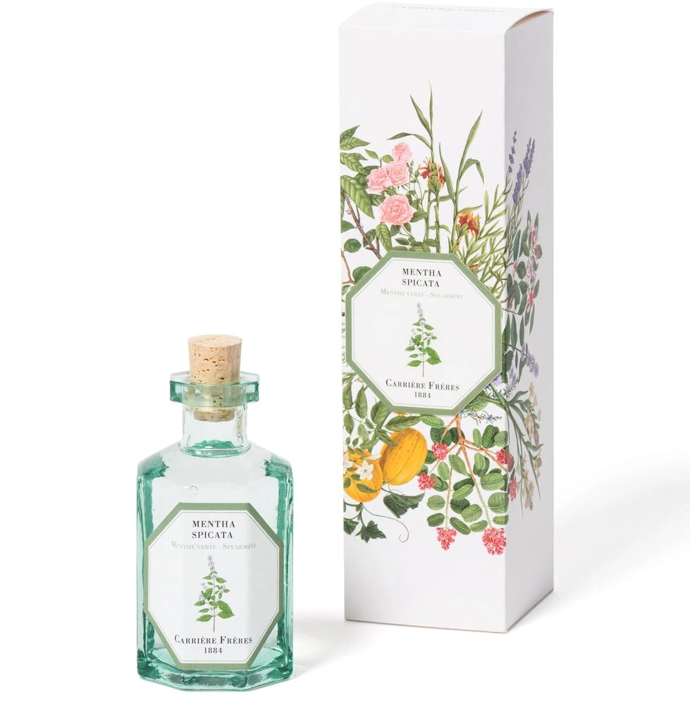 Carriere Freres Fragrance diffuser Spearmint - Mentha Spicata 200 ml 5