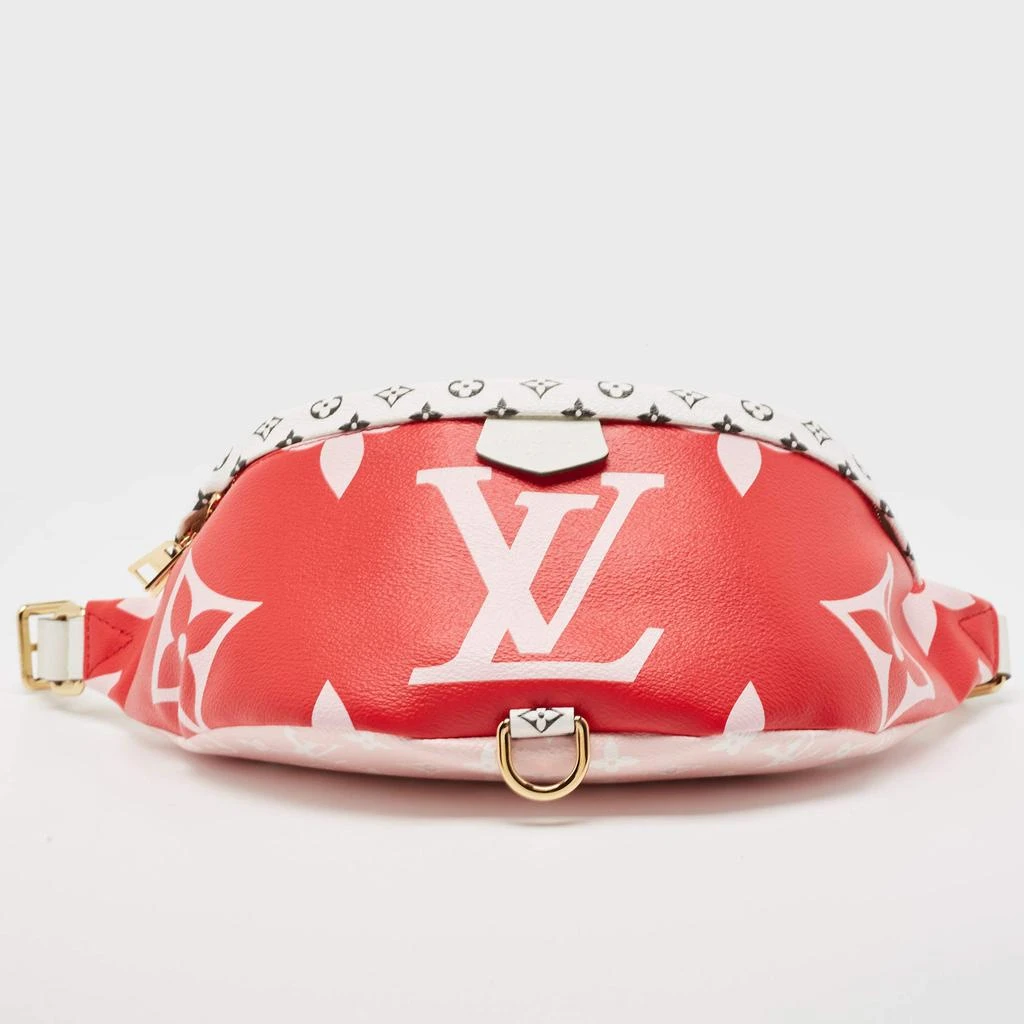 Louis Vuitton Louis Vuitton Multicolor Giant Monogram Canvas Bumbag 6