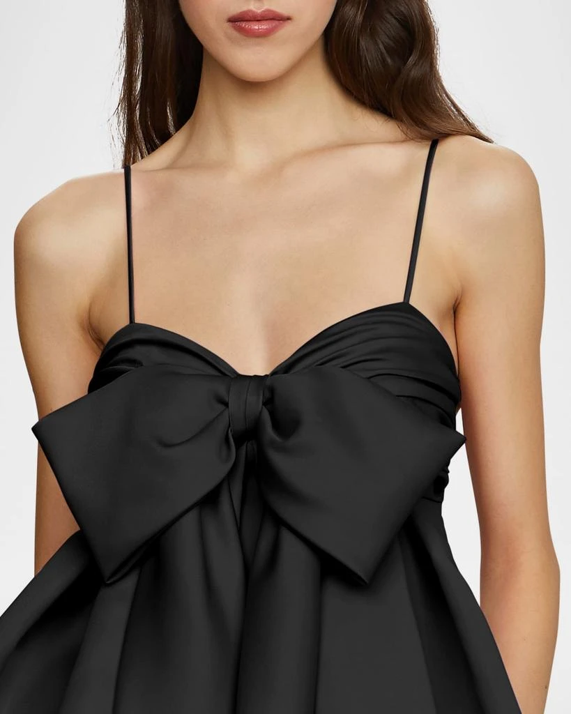 AMUR Rose Baby Doll Dress 4