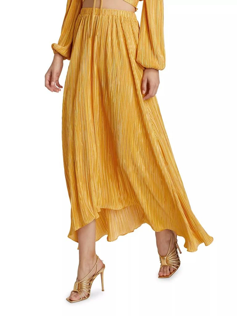 Ramy Brook Gwendolyn Pleated Maxi Skirt 4