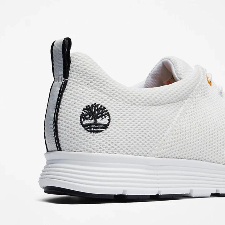 Timberland Killington Oxford Shoe for Men in White 7