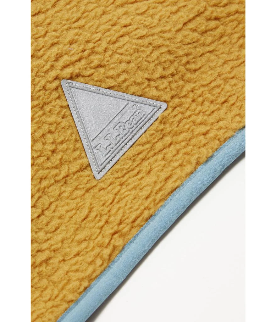 L.L.BEAN Alpine Fleece Jacket (Big Kids) 2