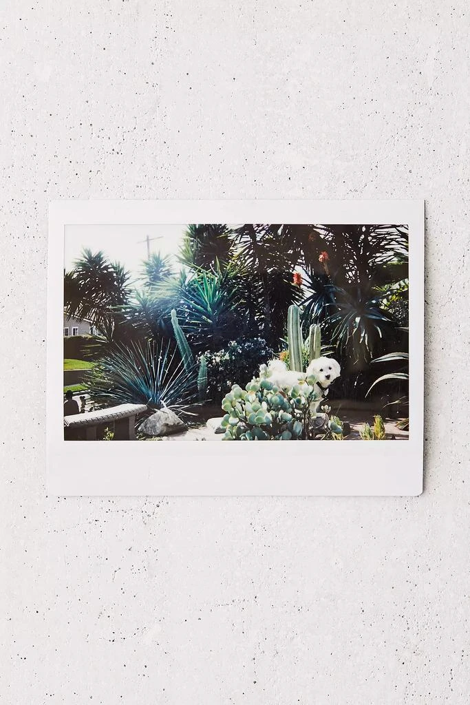 Fujifilm Fujifilm INSTAX Wide Film 3