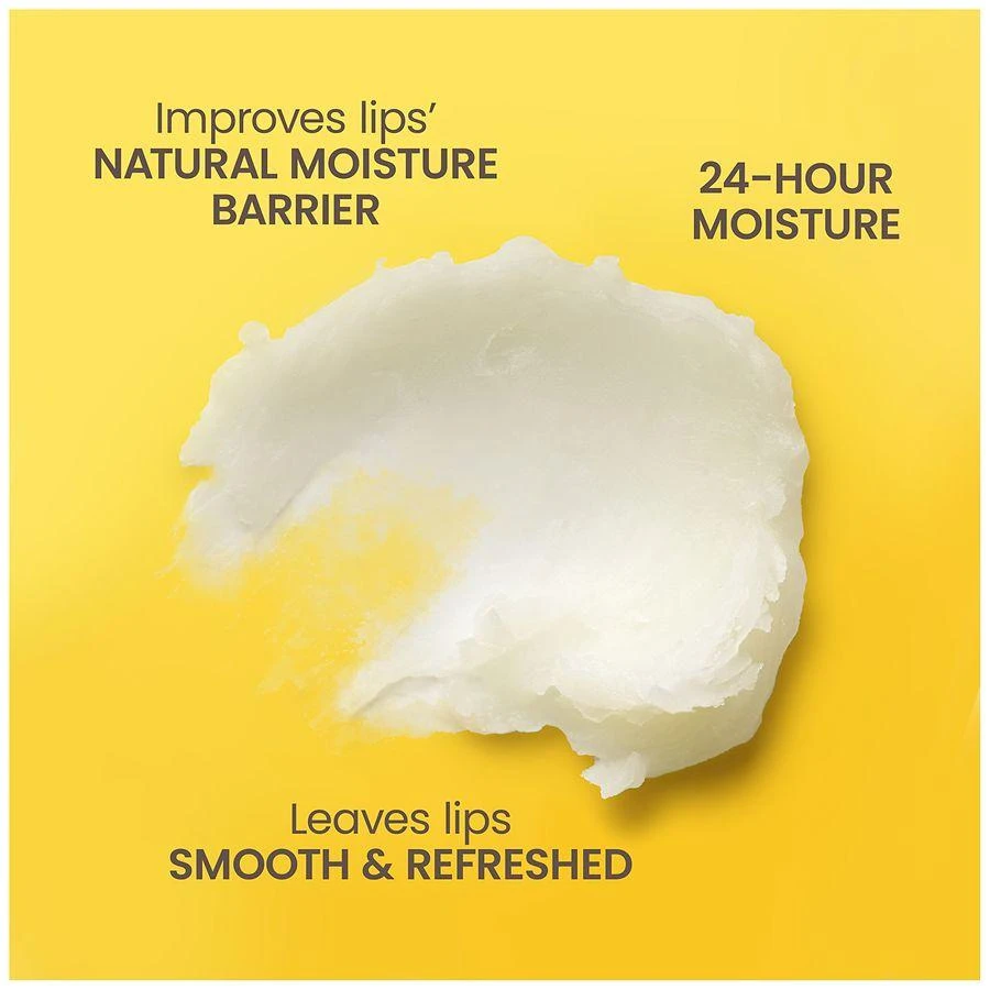 Burt's Bees Vanilla Bean & Wild Cherry Flavored Moisturizing Lip Balm Multi-Pack Wild Cherry and Vanilla Bean 3